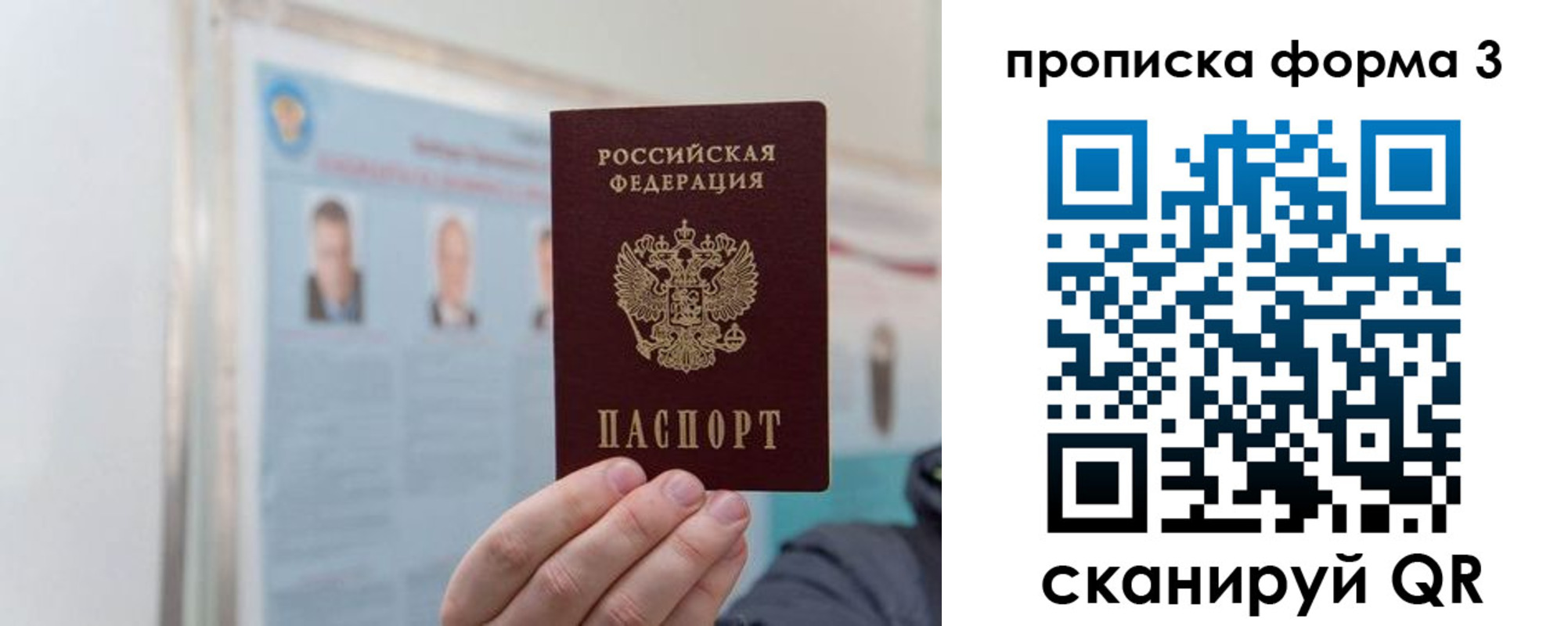 прописка законно в Камышлове